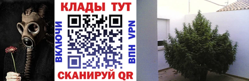 Наркота Сольвычегодск Конопля  Кодеин  Меф  Cocaine  blacksprut маркетплейс  МЕТАДОН  A-PVP 