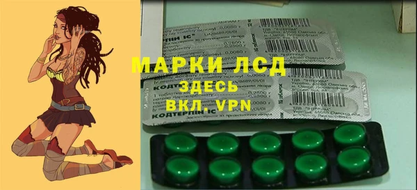твердый Зеленодольск