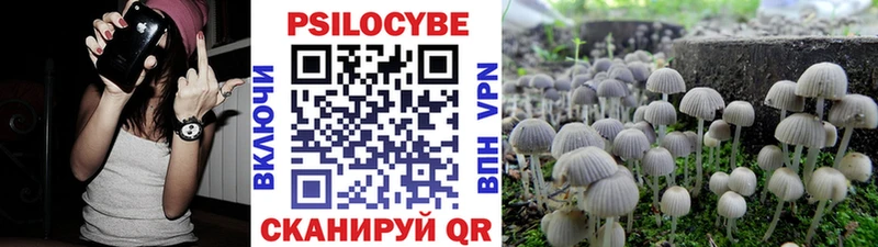 сайты даркнета наркотические препараты  Сольвычегодск  Псилоцибиновые грибы ЛСД 