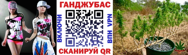 МАРИХУАНА планчик  Сольвычегодск 