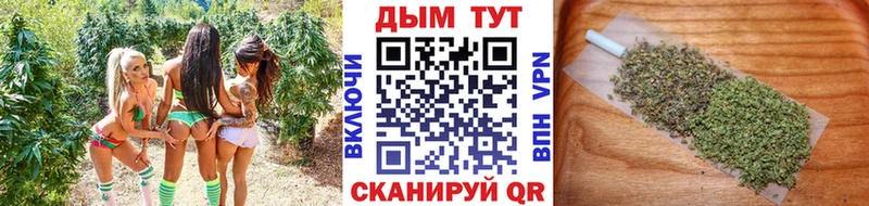 Бошки марихуана семена Сольвычегодск